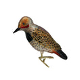 Load image into Gallery viewer, Northern Flicker Ornament - Southlake Paws