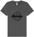 Load image into Gallery viewer, Not Bonita, Stressita Unisex V-Neck Shirt