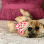Valentine Bandana | Valentines Day Bandana | Red Hearts Valentine Dog Bandana, Lips | Kisses