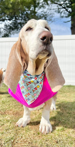 Gotcha Day | Birthday Bandana | Birthday Dog Bandana | Happy Birthday Bandana - DISCONTINUED FABRIC