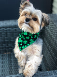 Load image into Gallery viewer, St Patrick's Day Bandana | St Paddy | Shamrock Bandana - Southlake Paws