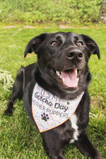Birthday Bandana | Dog Birthday | Birthday Dog Bandana | Happy Birthday Bandana | It's My Gotcha Day