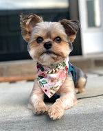 Spring, Spring Bandana, Floral Bandana, Flower Bandana, Summer Bandana | Rifle Paper Co