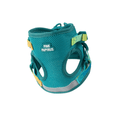 Load image into Gallery viewer, Joey Cat Harness & Leash Set