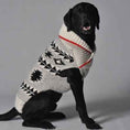 Load image into Gallery viewer, Jackson Dog Sweater