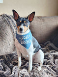 Load image into Gallery viewer, Free Kisses Bandana | Denim Bandana | Dog Bandana | Spring Bandana | Summer Bandana