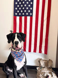 Load image into Gallery viewer, Patriotic | Memorial Day Bandana | USA | American Flag Bandana | Patriotic bandana