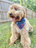 Load image into Gallery viewer, 4th of July | Memorial Day Bandana | USA | American Flag Bandana | Patriotic bandana | Fireworks - Southlake Paws