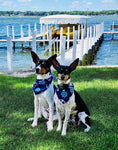 Load image into Gallery viewer, Nautical Bandana | Summer Bandana | Beach Bandana | Boating Bandana