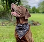 Halloween Bandana | Halloween Dog Bandana | Spiders