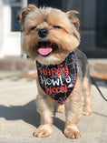 Load image into Gallery viewer, Halloween Bandana | Halloween Dog Bandana | Black Spider Web | Happy Howl-o-ween - Southlake Paws