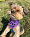 Load image into Gallery viewer, Halloween Bandana | Halloween Dog Bandana | Purple Spiders - Southlake Paws