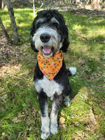 Halloween Bandana | Halloween Dog Bandana | Orange Dog Bones, House & more
