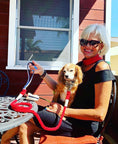 Load image into Gallery viewer, LEASH - HOT MARINE