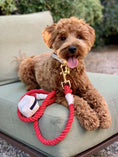 Load image into Gallery viewer, LEASH - HOT MARINE