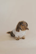 Load image into Gallery viewer, Xoxo sweater