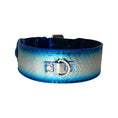 Load image into Gallery viewer, Multi-Tone Blue & Silver Snake Classic Collar