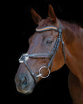 Load image into Gallery viewer, Gold Accented Figure 8 Bridle with Gold Browband