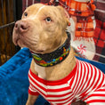 Load image into Gallery viewer, The Grinch Limited Collar