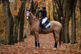 Load image into Gallery viewer, Blue Astra Saddle Pad