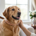 Load image into Gallery viewer, Blush Soleil Crystal Dog Collar