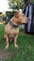 Load image into Gallery viewer, The "Metal" collar- personalized!