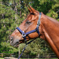 Load image into Gallery viewer, Magna Halter ™ in Blue with Leather Breakaway
