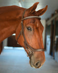Load image into Gallery viewer, Anatomic Bridle with Crystal Browband