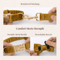 Load image into Gallery viewer, Light Coffee Velvet Set