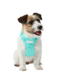 Load image into Gallery viewer, NO PULL ACTIVE PET HARNESS - MINT GREEN
