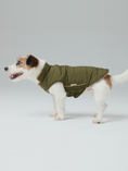 Load image into Gallery viewer, Reversible Dog Vest Jacket - Green Brown
