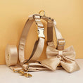 Load image into Gallery viewer, Gold Satin Wedding Set