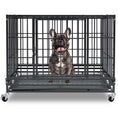 Load image into Gallery viewer, Heavy-duty 37" stackable dog kennel by Southlake Paws, featuring a sturdy metal frame and a dog inside.