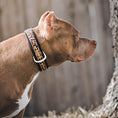 Load image into Gallery viewer, The Leopard Collar