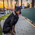 Load image into Gallery viewer, The "Kennel" collar- personalized!