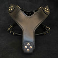 Load image into Gallery viewer, The ''Style'' harness Black