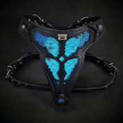 The ''Morelia Python'' harness Medium Size