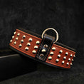 Load image into Gallery viewer, "Star" collar