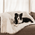 Load image into Gallery viewer, PupProtector™ Waterproof Throw Blanket - Polar White