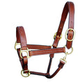 Load image into Gallery viewer, ExionPro Triple Stitched Leather Halter - Brass Hardware