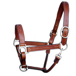 ExionPro Triple Stitched Leather Halter - Brass Nickel Hardware