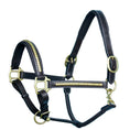 Load image into Gallery viewer, ExionPro Clincher Leather Halter - Brass Hardware