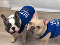 Load image into Gallery viewer, Parisian Pet 'Big Brother' Embroidered Pet T-Shirt – Cute Sibling Announcement Dog Shirt for Dogs & Cats, Blue