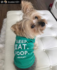 Load image into Gallery viewer, Parisian Pet 'Sleep Eat Poop' Playful Dog Shirt – Trendy Embroidered Pet Apparel for Dogs & Cats, Saint Patrick's Day