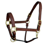 ExionPro Fancy Stitched Leather Halter - Brass Hardware