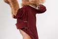 Load image into Gallery viewer, HUSTON HOODIE - DARK BURGUNDY