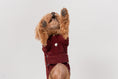 Load image into Gallery viewer, HUSTON HOODIE - DARK BURGUNDY