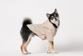 Load image into Gallery viewer, BOWERY RAINCOAT - BEIGE