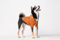 Load image into Gallery viewer, BOWERY RAINCOAT - ORANGE