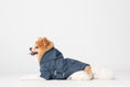 Load image into Gallery viewer, BOWERY RAINCOAT - BLUE